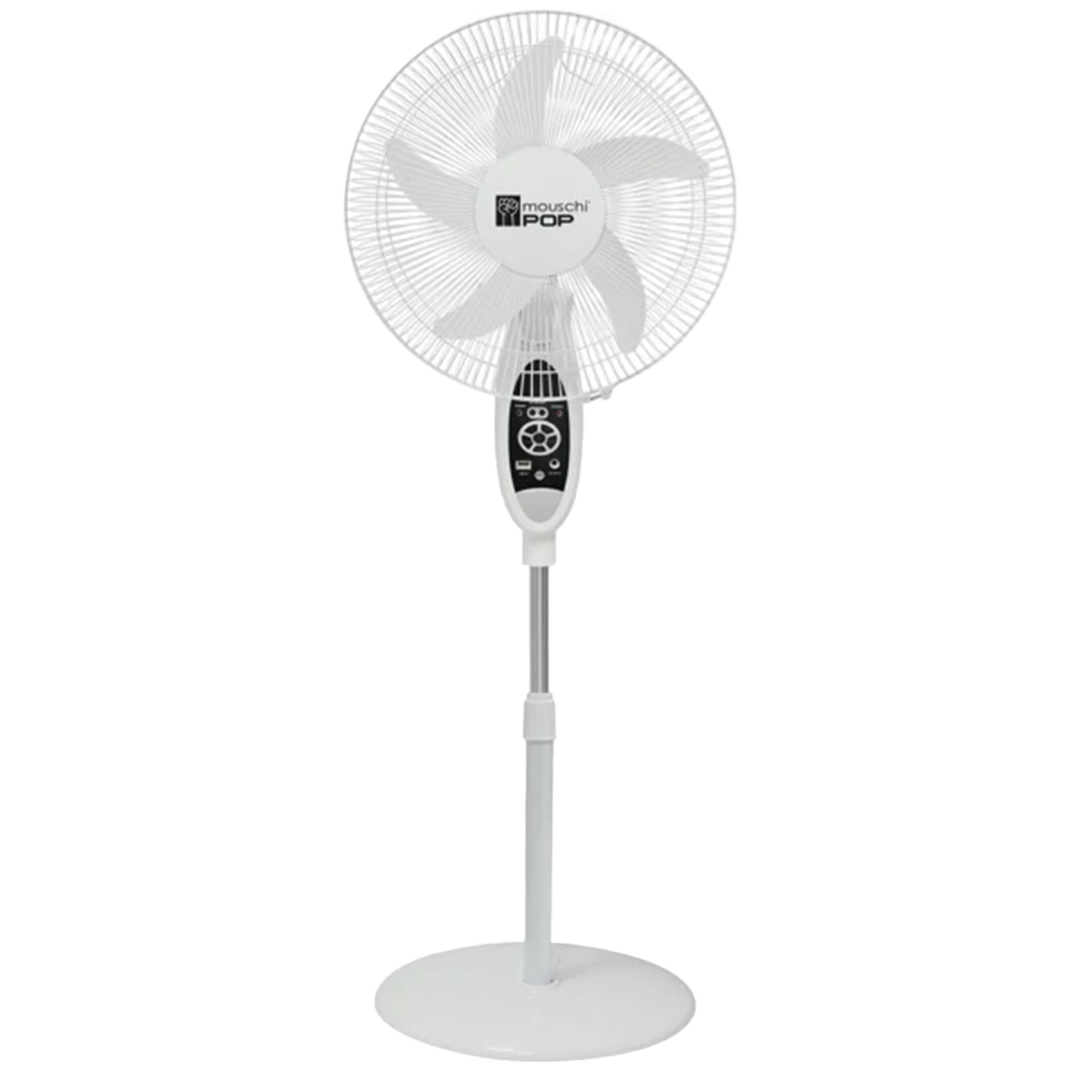 MOUSCHI Pop Fan