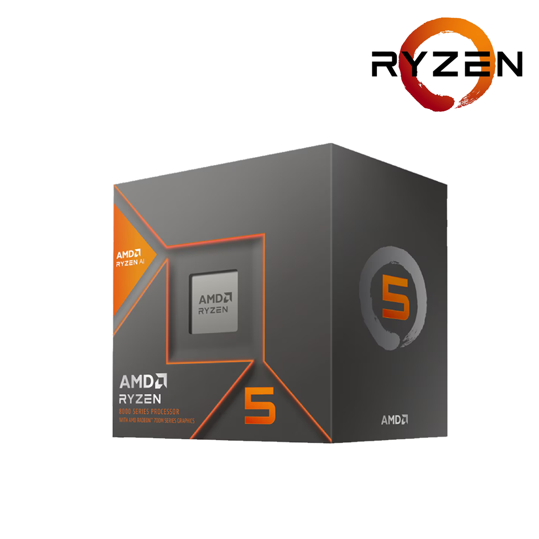 AMD Ryzen 5 8600G Processor