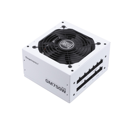 SEGOTEP GM750W 750W Full Modular Power Supply WHITE
