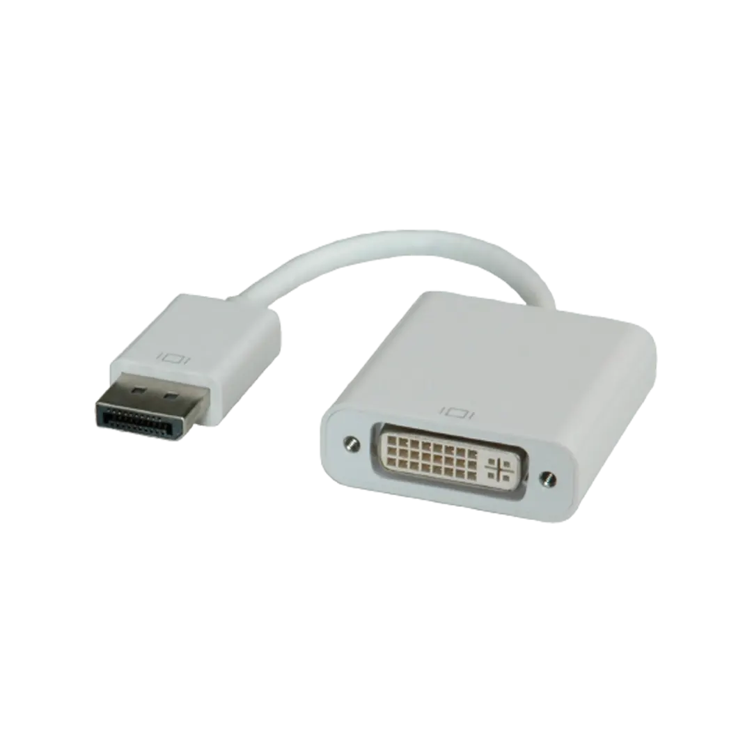High Quality Display Port Male To DVI Female  Adapter - White
